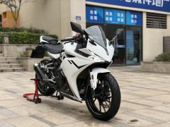Kayo 250RR Thornbird - ფოტო 3