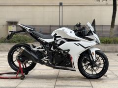 Kayo 250RR Thornbird - ფოტო 4