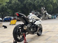 Kayo 250RR Thornbird - ფოტო 5