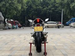 Kayo 250RR Thornbird - ფოტო 6