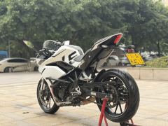 Kayo 250RR Thornbird - ფოტო 7