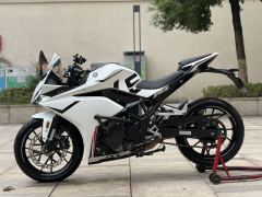 Kayo 250RR Thornbird - ფოტო 8