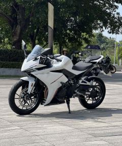 Kayo 250RR Thornbird - ფოტო 4