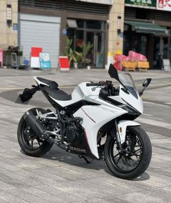Kayo 250RR Thornbird - ფოტო 6