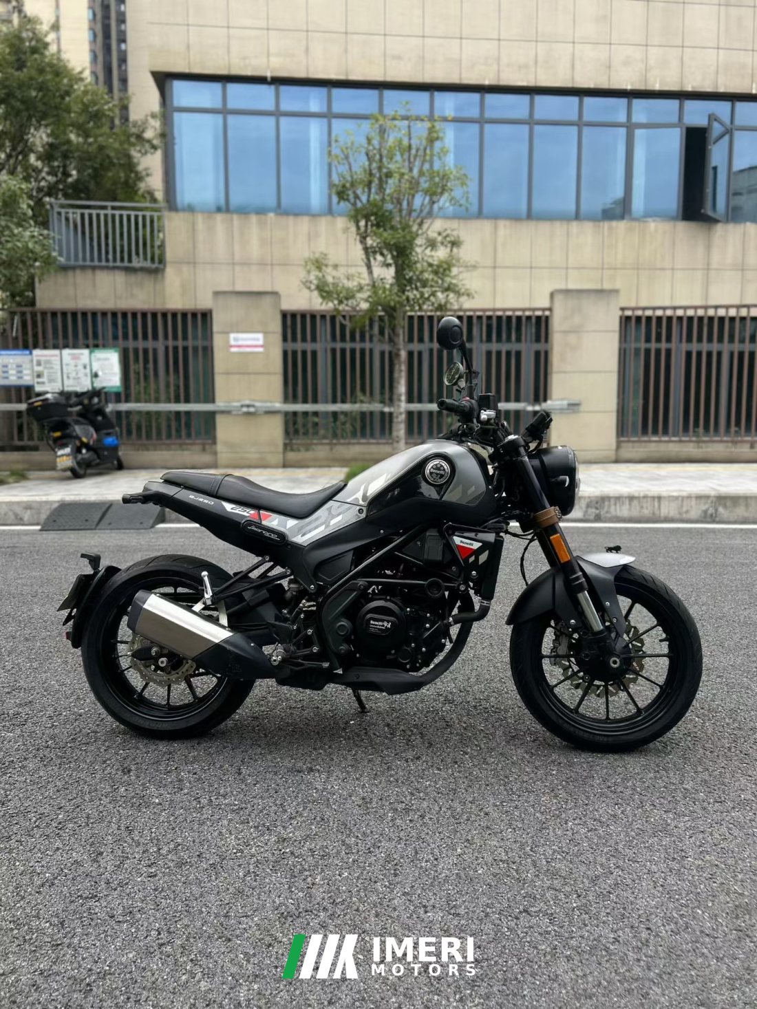 Benelli Leoncino 250 - მოტოციკლი ჩინეთიდან