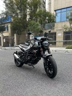 Benelli Leoncino 250 - ფოტო 3