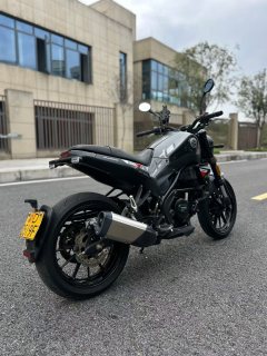 Benelli Leoncino 250 - ფოტო 4