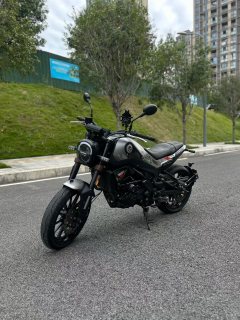 Benelli Leoncino 250 - ფოტო 7