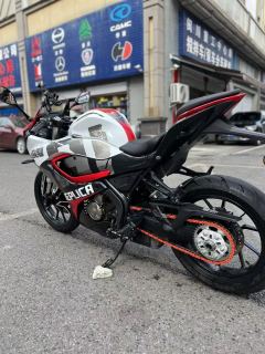 QJMOTOR SRK 250 - ფოტო 5
