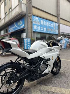 CFMOTO 250SR - photo 6