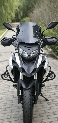 Benelli Jinpeng TRK502 500 cc - фото 2