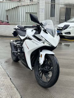Kayo 250RR Thornbird - ფოტო 1