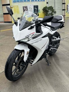 Kayo 250RR Thornbird - ფოტო 2