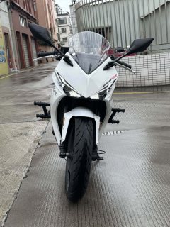 Kayo 250RR Thornbird - ფოტო 3