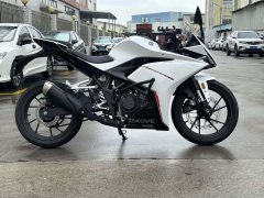 Kayo 250RR Thornbird - ფოტო 4
