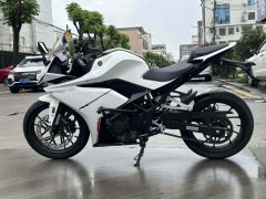 Kayo 250RR Thornbird - ფოტო 5