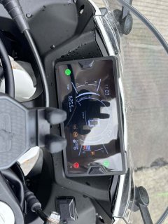 Kayo 250RR Thornbird - ფოტო 7
