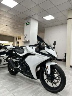 Kayo 250RR Thornbird - ფოტო 1