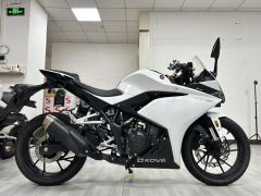 Kayo 250RR Thornbird - ფოტო 2