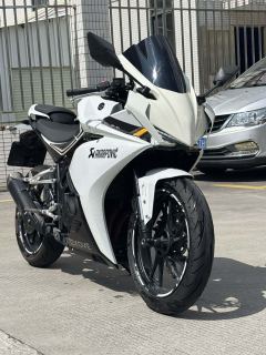 Kayo 250RR Thornbird - ფოტო 1