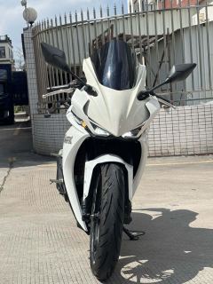 Kayo 250RR Thornbird - ფოტო 3