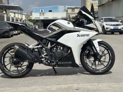 Kayo 250RR Thornbird - ფოტო 4