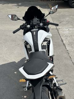 Kayo 250RR Thornbird - ფოტო 6