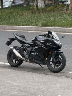 Haojue Suzuki GSX250R - ფოტო 2