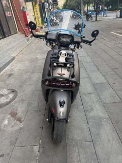 Weiduoliya Sixties 150Si - ფოტო 2