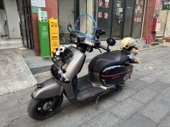 Weiduoliya Sixties 150Si - ფოტო 3