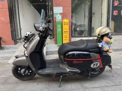 Weiduoliya Sixties 150Si - ფოტო 4