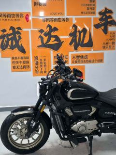 Voge CU250 - ფოტო 7
