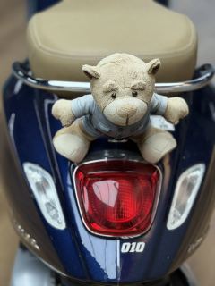 VESPA Primavera 155 cc - ფოტო 3
