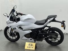 QJMOTOR SRK 250 - ფოტო 4