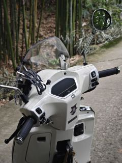 Sundiro Honda NS125LA - photo 5