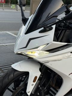 Kayo 250RR Thornbird - photo 10