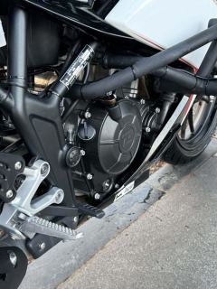 Kayo 250RR Thornbird - photo 5