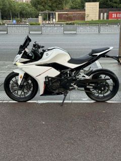 Kayo 250RR Thornbird - photo 8