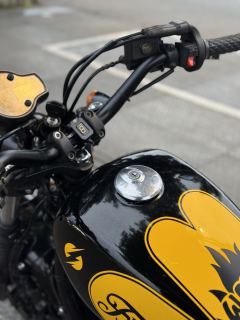 Hyosung GV300S - ფოტო 10