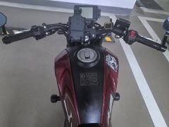 Benelli Leoncino 250 - ფოტო 4