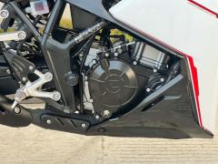 Kayo 250RR Thornbird - ფოტო 8