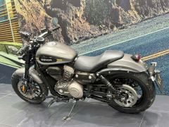 Benda Challenger 300 - photo 3