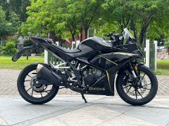 Kayo 250RR Thornbird - photo 4