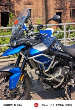 Triumph Tiger 850 900 cc - ფოტო 3