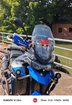 Triumph Tiger 850 900 cc - ფოტო 5