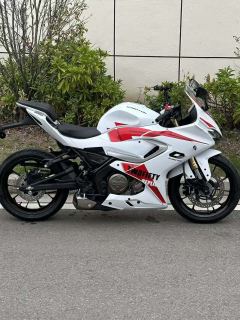 QJMOTOR SRK 250 - ფოტო 2