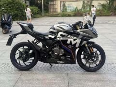 CFMOTO 250SR - ფოტო 2