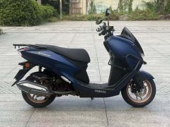 Jianshe Yamaha Eagle 125 - photo 2