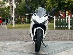 Kayo 250RR Thornbird - ფოტო 2