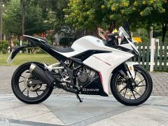 Kayo 250RR Thornbird - ფოტო 4